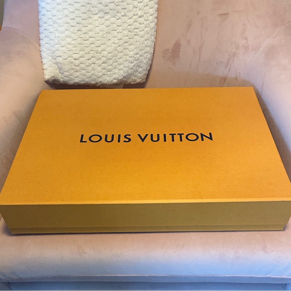 Louis Vuitton large storage box